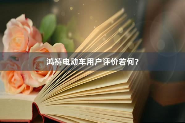 鸿禧电动车用户评价若何？